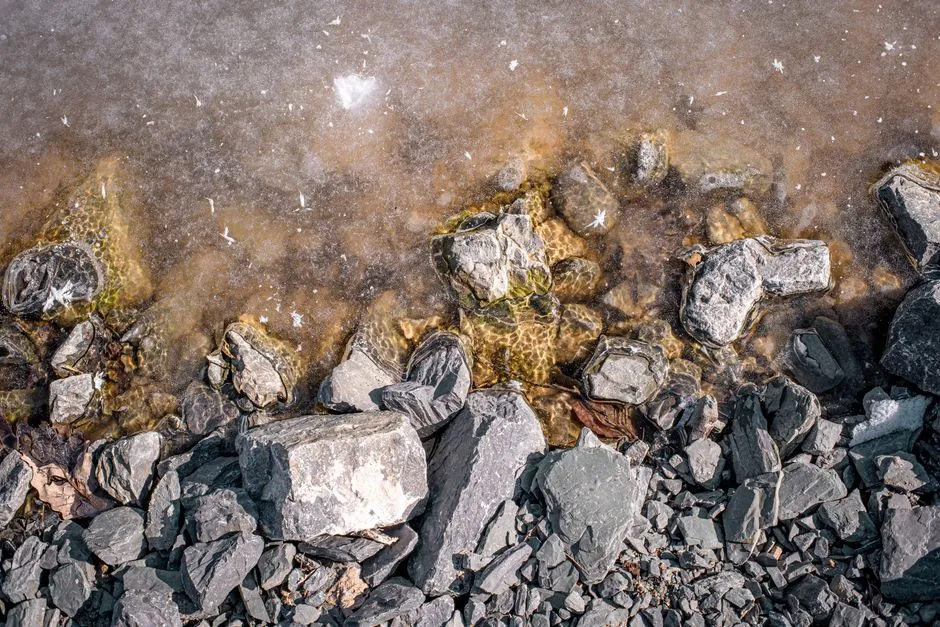 The West Fork: A Completely Different World (Image Credits: Pexels)