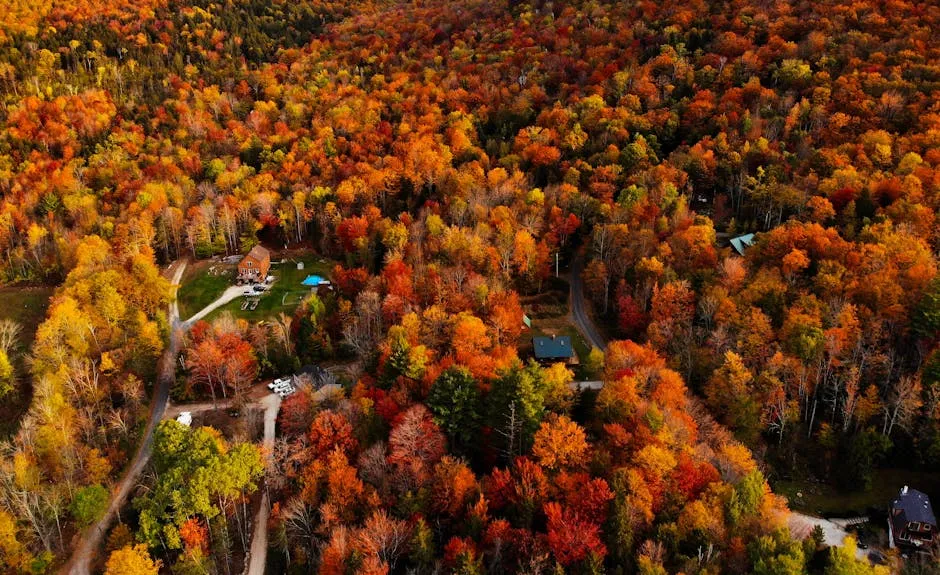 Best Times to Visit and Practical Foliage Timing (Image Credits: Pexels)