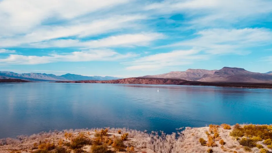 The River as a Playground (Image Credits: Pexels)