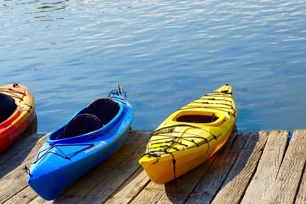 Paddling the Creeks: How Most People Actually See the Marsh (Image Credits: Rawpixel)