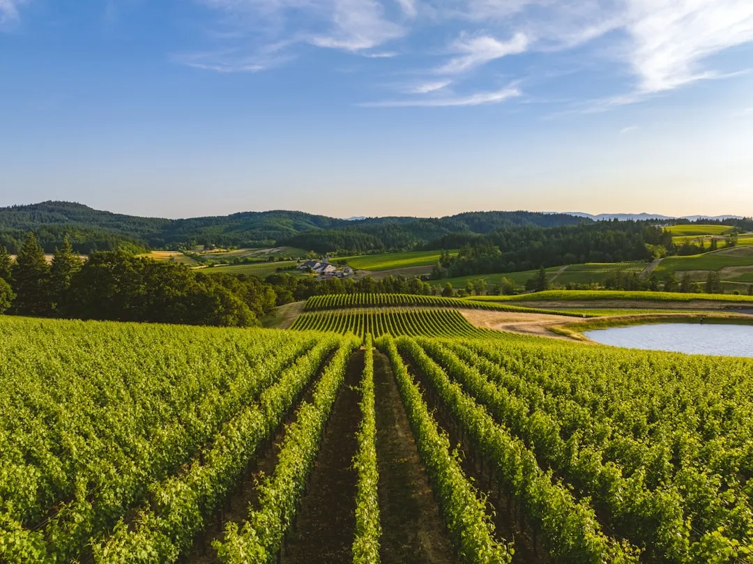 A Region That Has Earned Its Place on the World Stage (Image Credits: Unsplash)