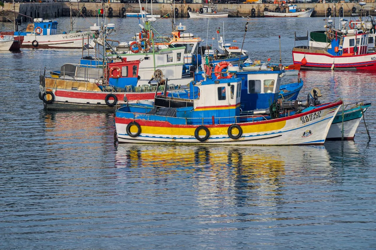 Sesimbra: The Bay That Shelters the Best Catch (Image Credits: Pixabay)