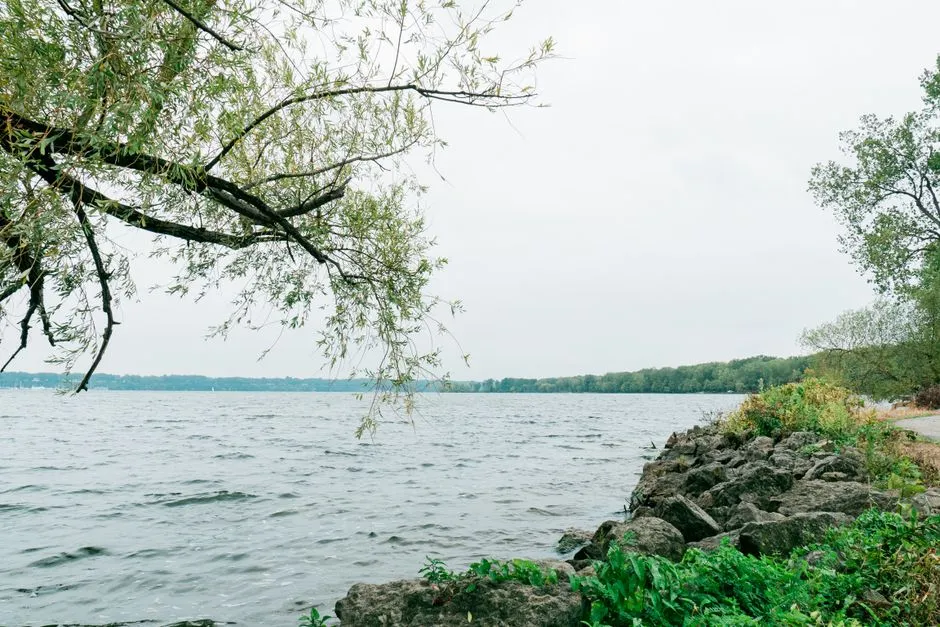 Wayzata's Waterfront Has Been Genuinely Transformed (Image Credits: Pexels)