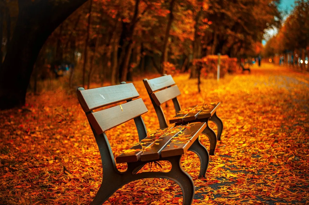 You Sit Down and Stay a While: The Restorative Personality (Image Credits: Pixabay)