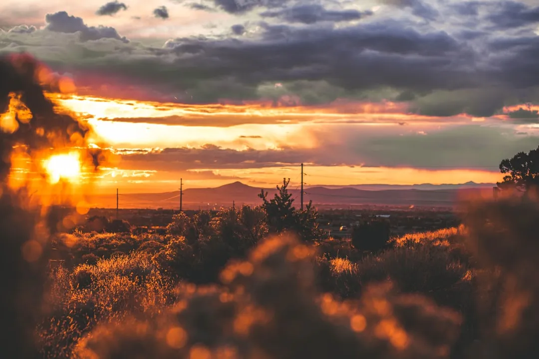 The Quality of Light That Artists Have Always Chased (Image Credits: Unsplash)