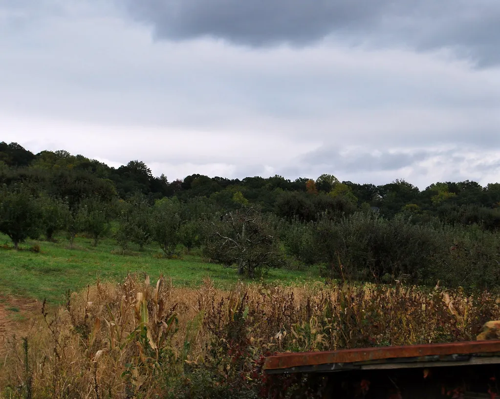 Dickie Brothers Orchard in Nelson County (KJ Holiday, Flickr, CC BY 2.0)