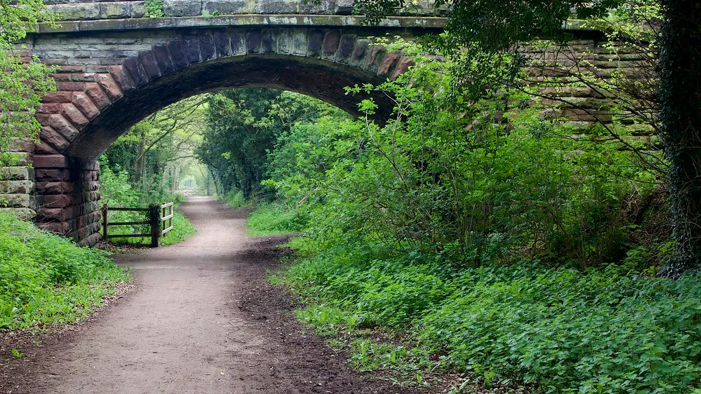 The Covered Bridge Trail: History You Can Drive Through (Image Credits: Flickr)