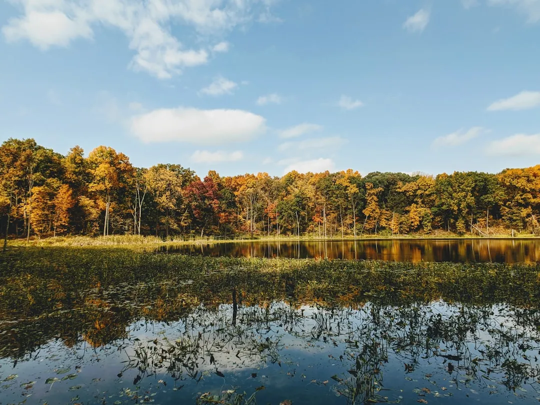 Every Season Brings Something Different (Image Credits: Unsplash)
