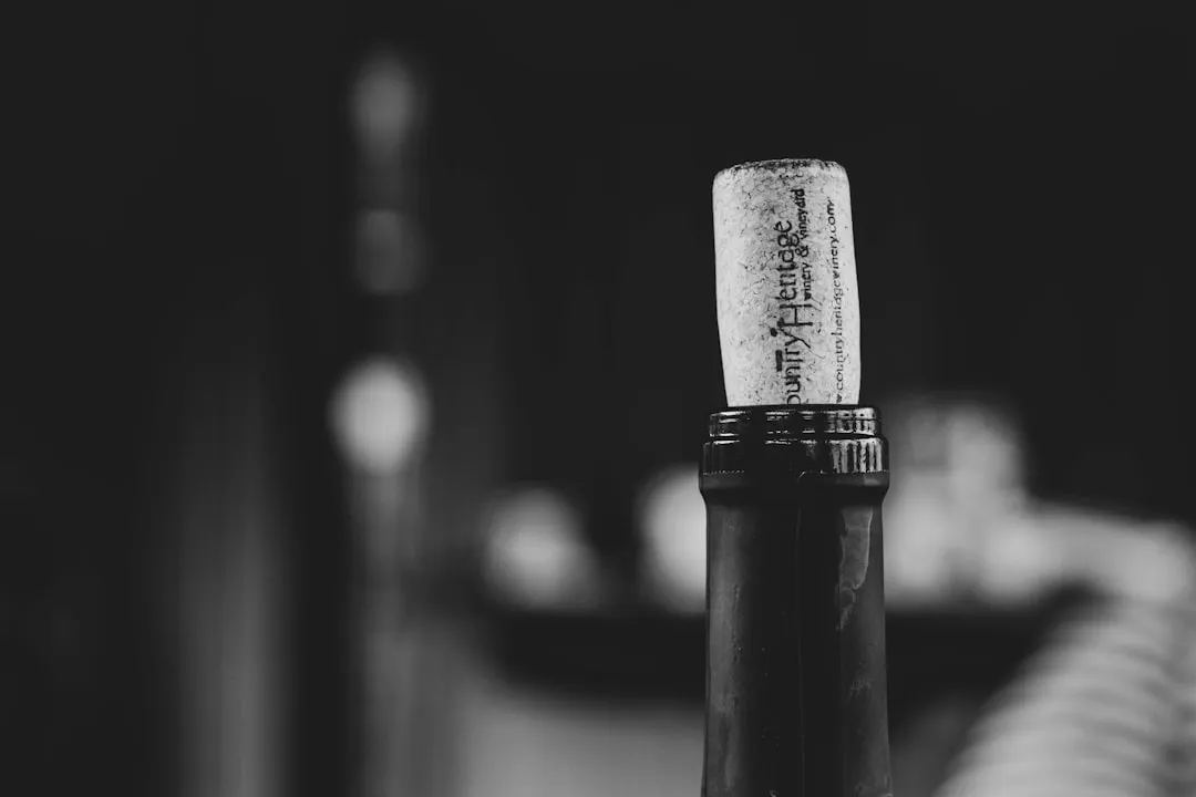 Wine Trails Make It Easy to Explore (Image Credits: Unsplash)