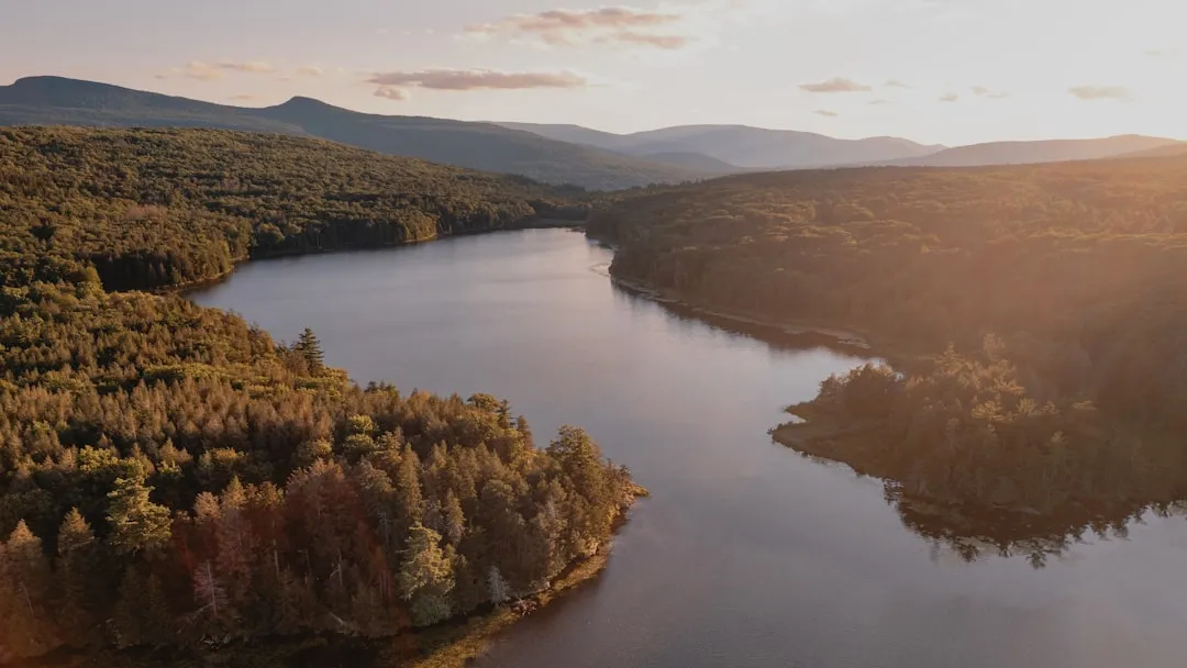 4. The Catskill Mountains, New York - The Birthplace of Fly Fishing (Image Credits: Unsplash)