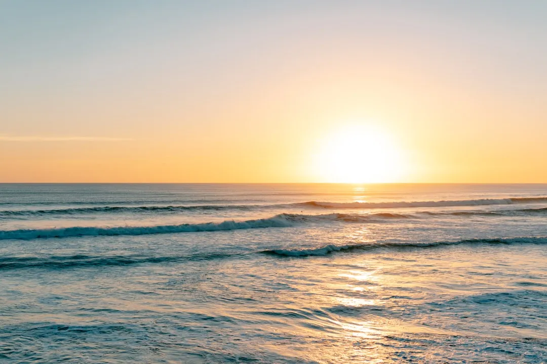 Why Sunscreen Ends Up in the Ocean in the First Place (Image Credits: Unsplash)
