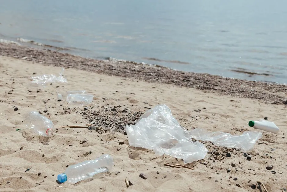 How to Experience the Shore Responsibly (Image Credits: Pexels)