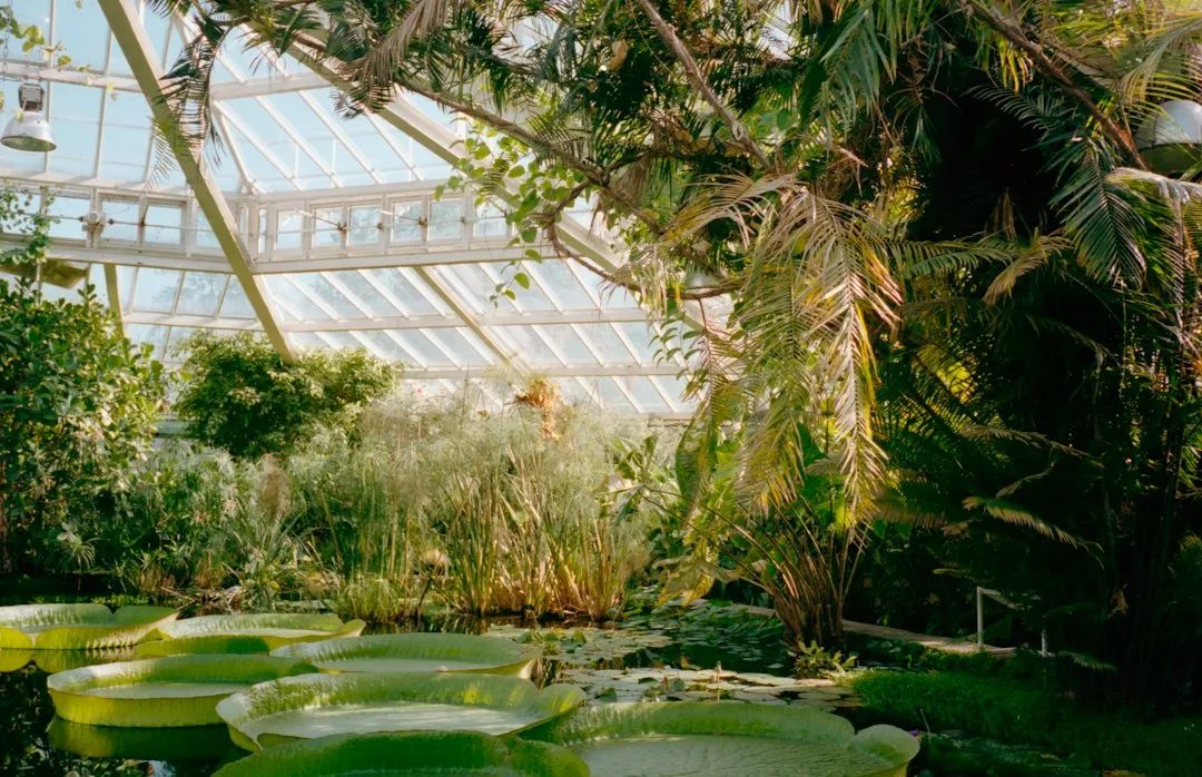 How to Visit the Way Horticulturists Do (Image Credits: Unsplash)