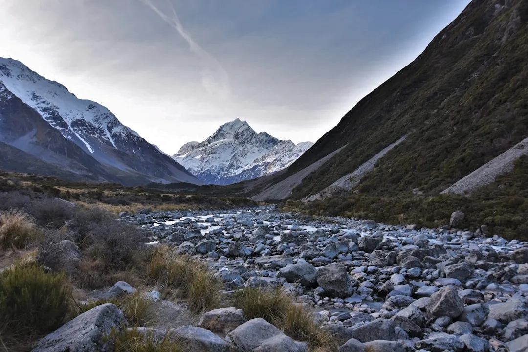 A Scale of Wilderness That Is Simply Hard to Comprehend (Image Credits: Unsplash)