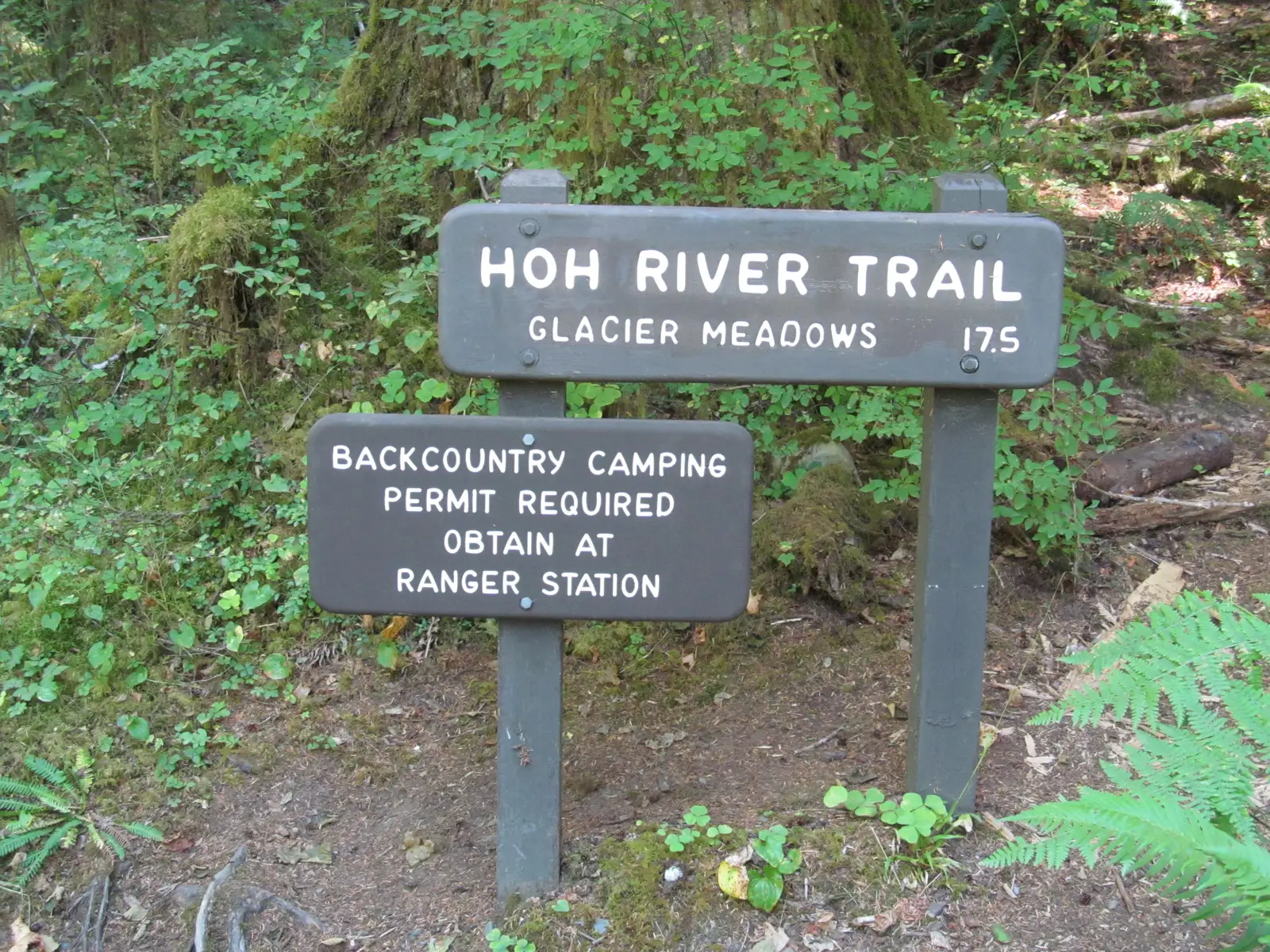 Practical Logistics Are Simpler Than You'd Expect (Hoh Rainforest - Olympic National Park - Washington State
Uploaded by AlbertHerring, CC BY-SA 2.0)