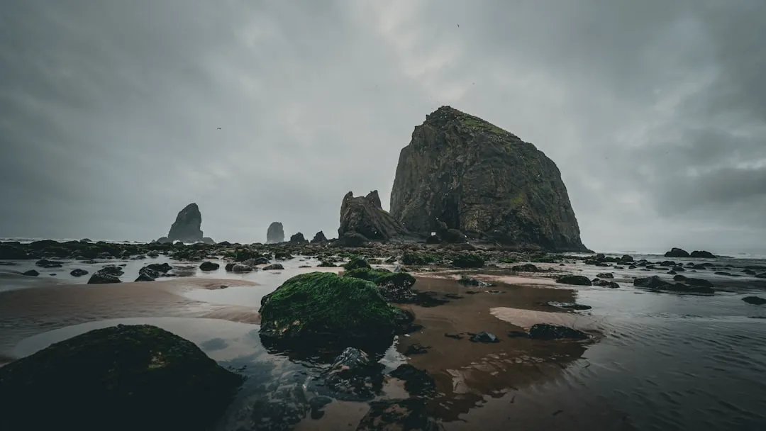 How to Visit Responsibly and Leave the Pools Intact (Image Credits: Unsplash)