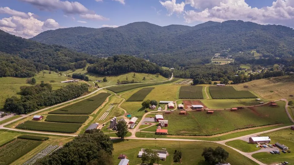 Farm Diversification: More Than Just Extra Income (Image Credits: Pexels)