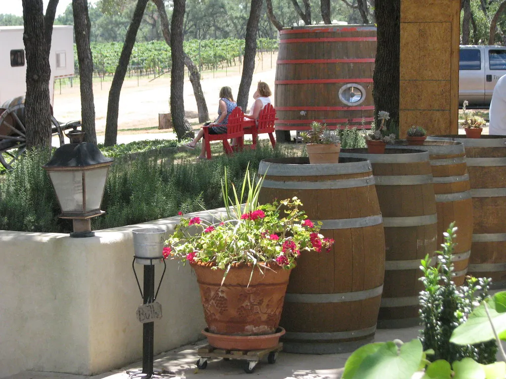 William Chris Vineyards: A Global Benchmark for Texas Wine (cortneymartin82, Flickr, CC BY 2.0)