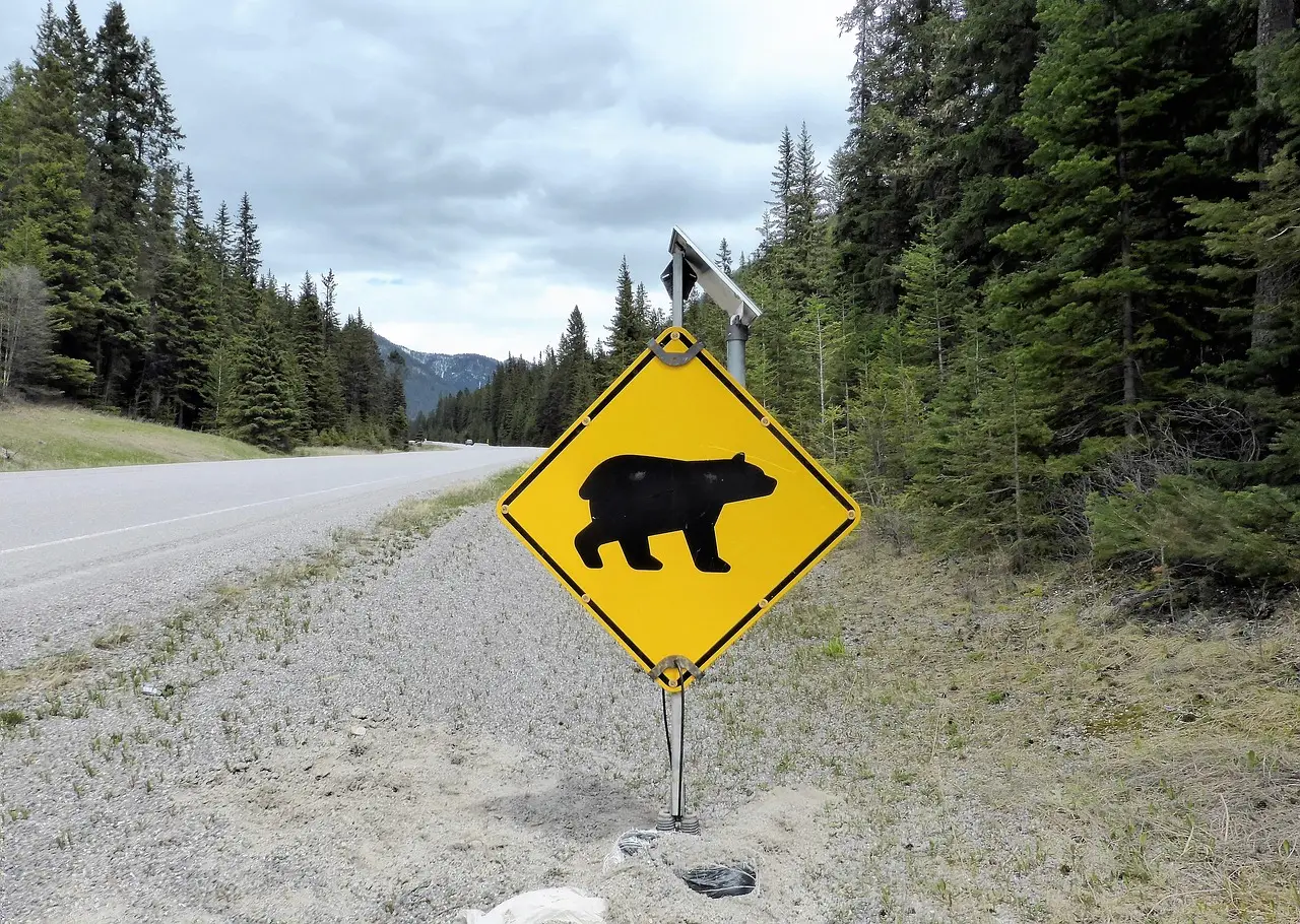 Who Is Most at Risk (Image Credits: Pixabay)