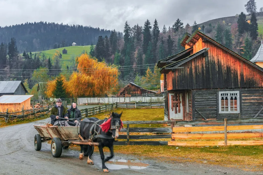 Romania: Schengen Access at Eastern European Prices (Image Credits: Unsplash)