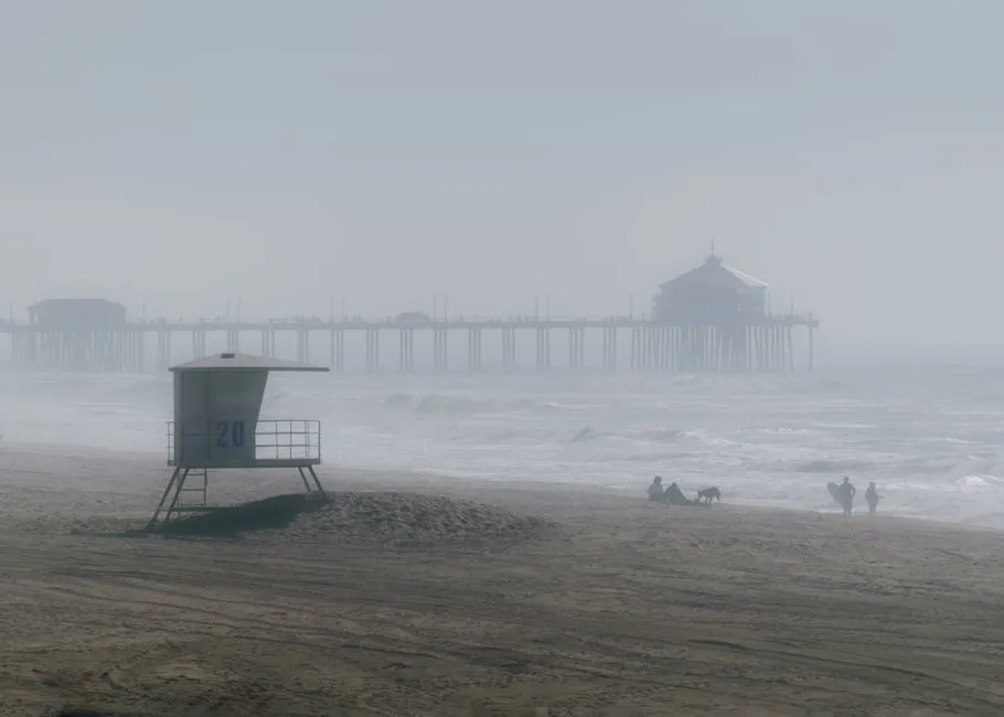 Huntington Beach, California: Surf City's Iconic Off-Leash Shore (Image Credits: Pexels)