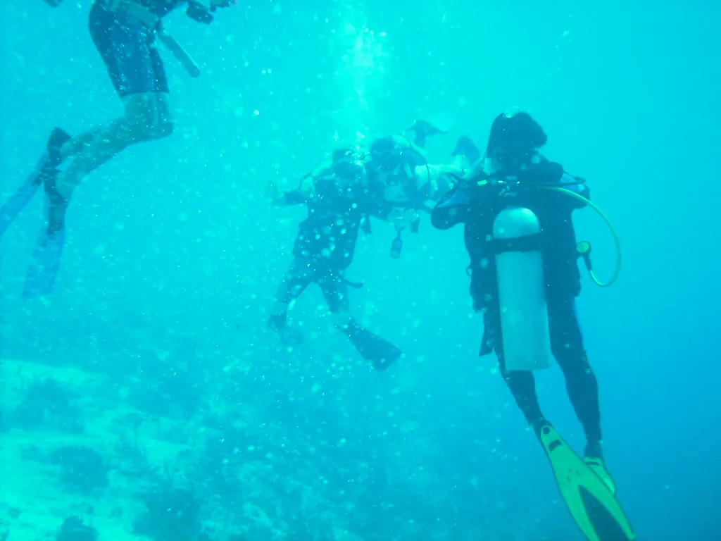 Cozumel, Mexico: Drift Diving Made Gentle (globalreset, Flickr, CC BY-SA 2.0)