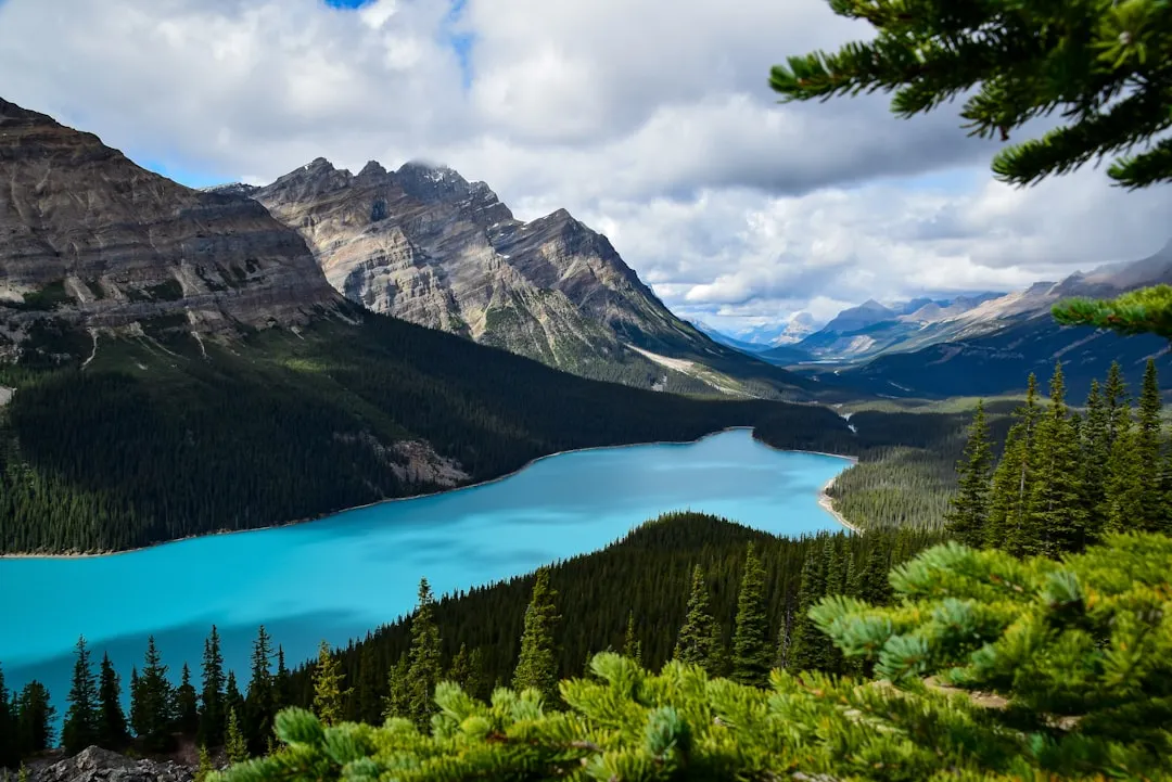 Peyto Lake: The Wolf That Watches from Above (Image Credits: Unsplash)