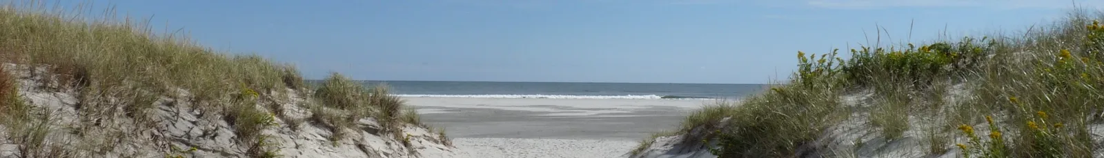 Beaches That Actually Deliver (By Bookfan, CC0)