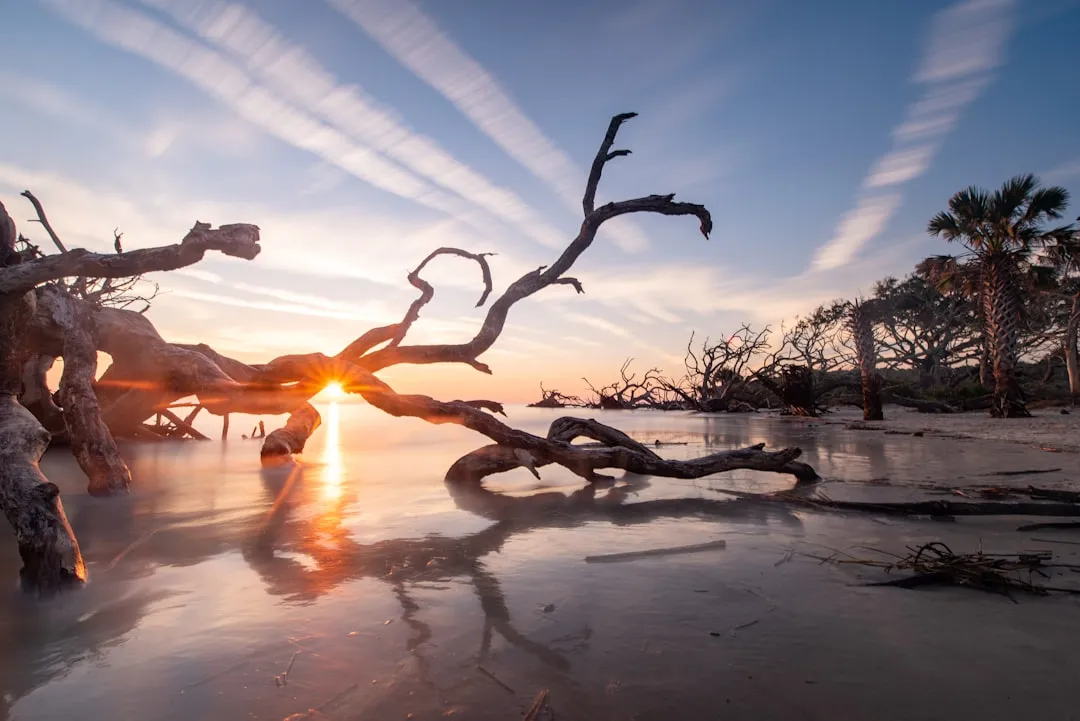 5. Jekyll Island, Georgia (Image Credits: Unsplash)