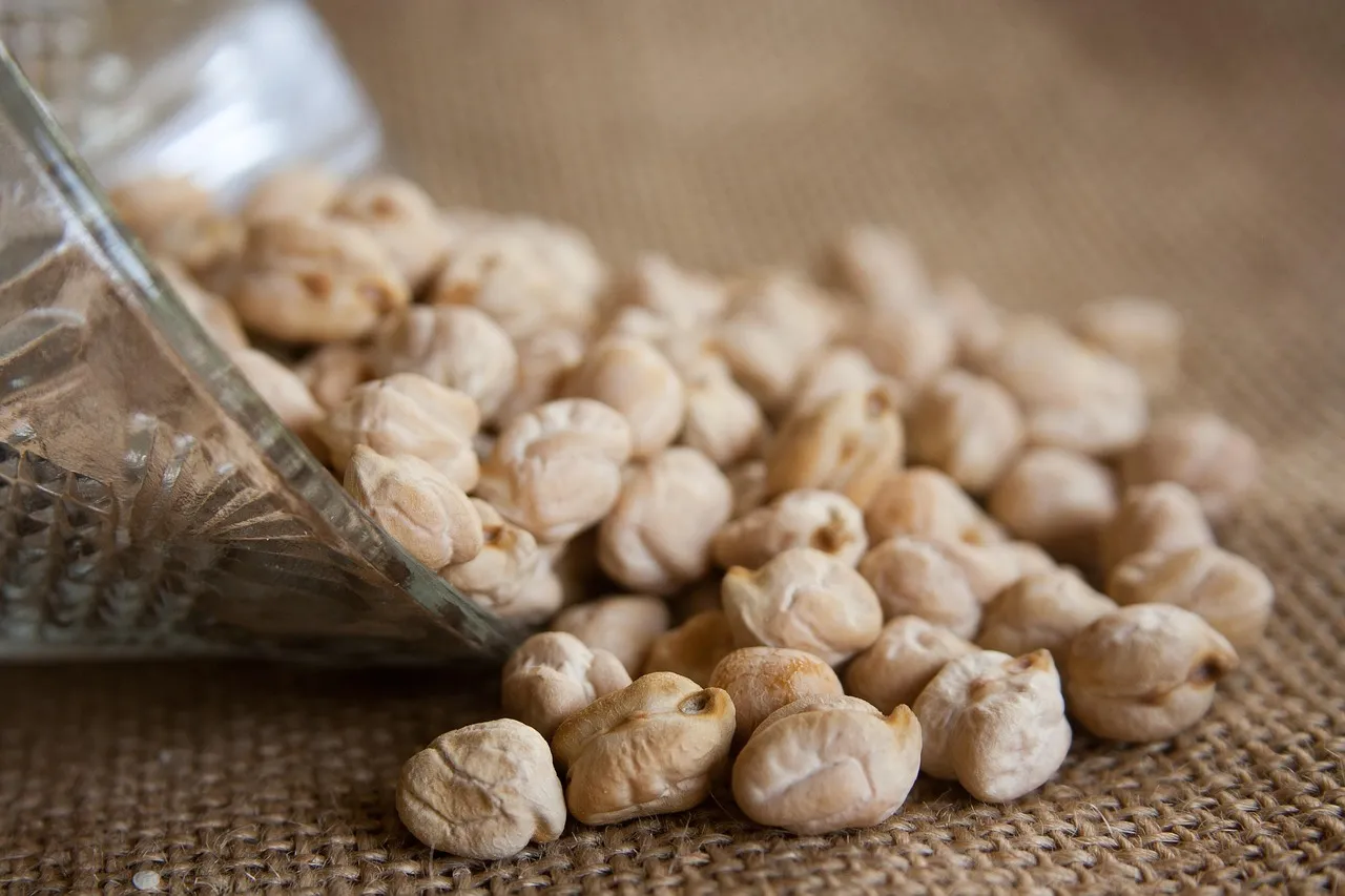 Panelle: The Humble Chickpea Fritter That Defines the City (Image Credits: Pixabay)