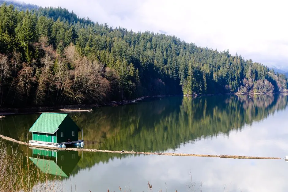 Who Is Booking Floating Cabin Stays (Image Credits: Pexels)