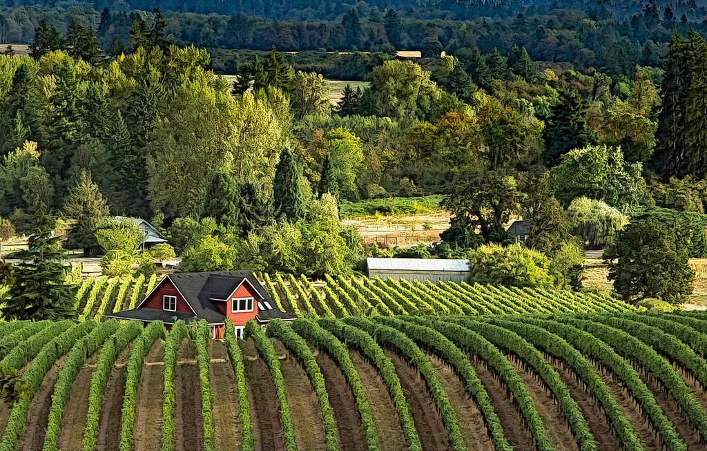 The Economic Reach Touches Every Corner of the State (docoverachiever, Flickr, CC BY 2.0)