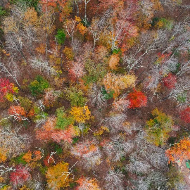 The Land Itself: 700,000 Acres of Protected Wild (Image Credits: Pexels)