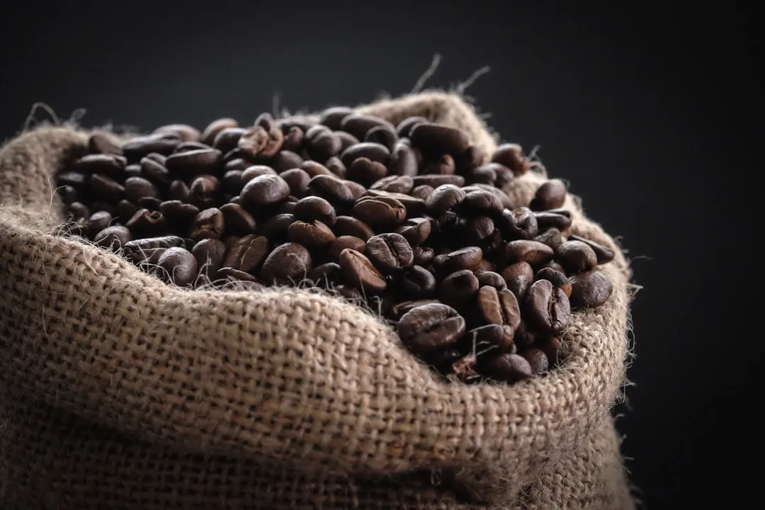 UNESCO's Recognition of the Coffee Landscape (Image Credits: Unsplash)