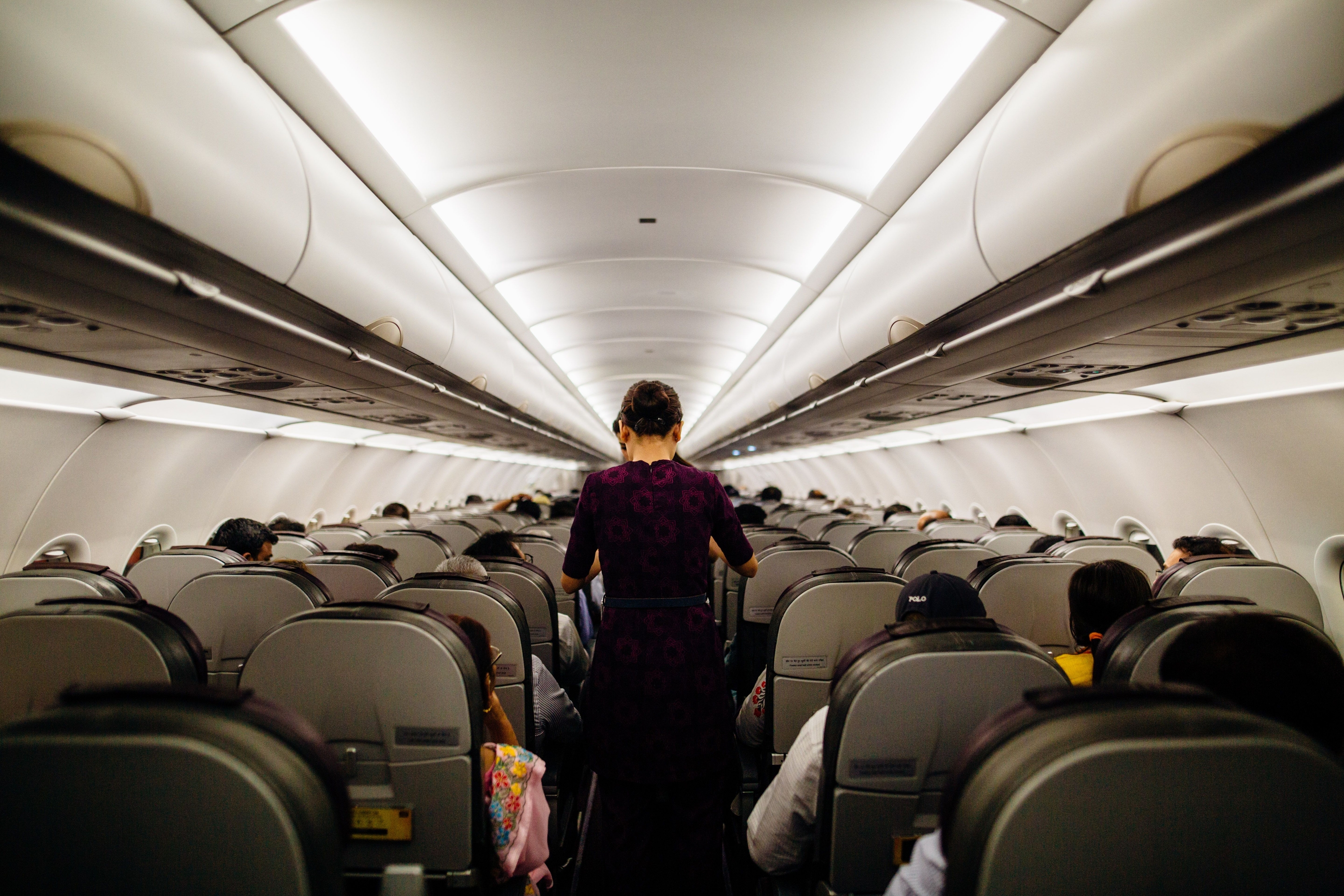 The Plane Armrest Debate: Who Actually Owns the Middle Space?