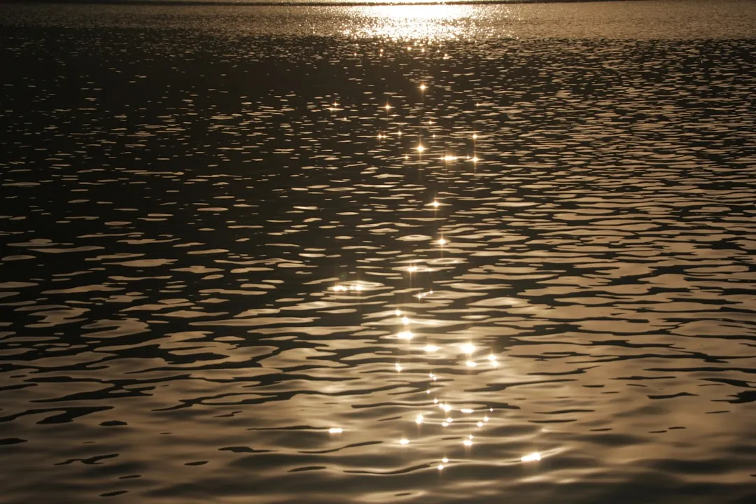 What Makes Gold Lake the Crown Jewel (Image Credits: Unsplash)