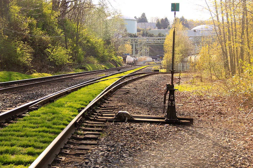 The Confederation Trail: The Backbone of the Walk (waferboard, Flickr, CC BY 2.0)