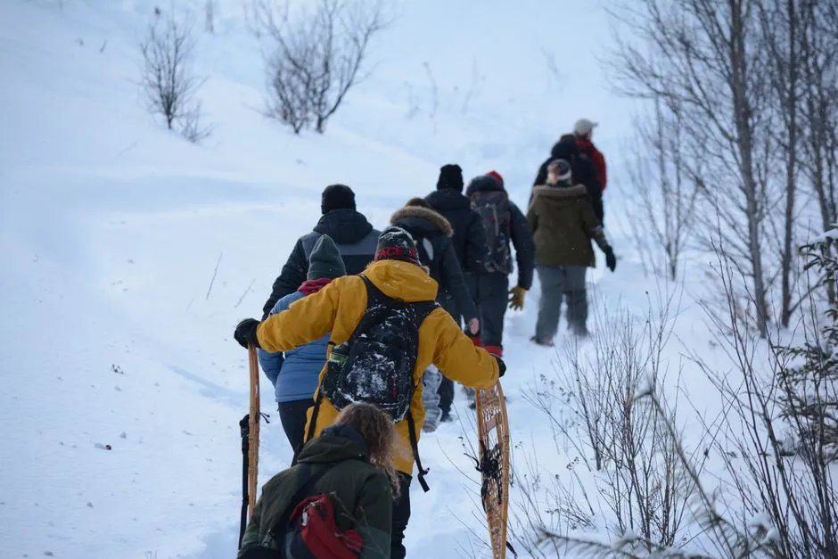 Beyond Downhill Skiing: A Winter Playground (Image Credits: Pexels)
