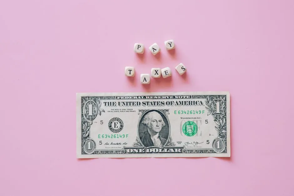 Do These Taxes Actually Work? (Image Credits: Pexels)