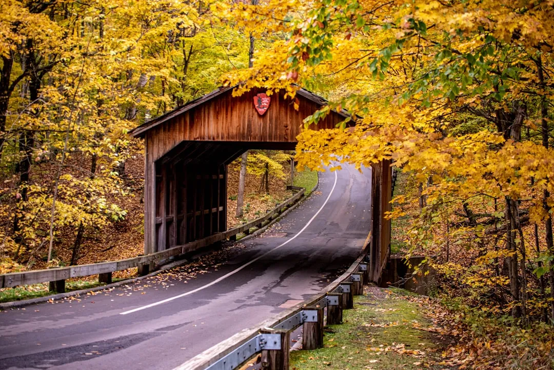 The Town of Montgomery: A Cluster Worth Planning Around (Image Credits: Unsplash)