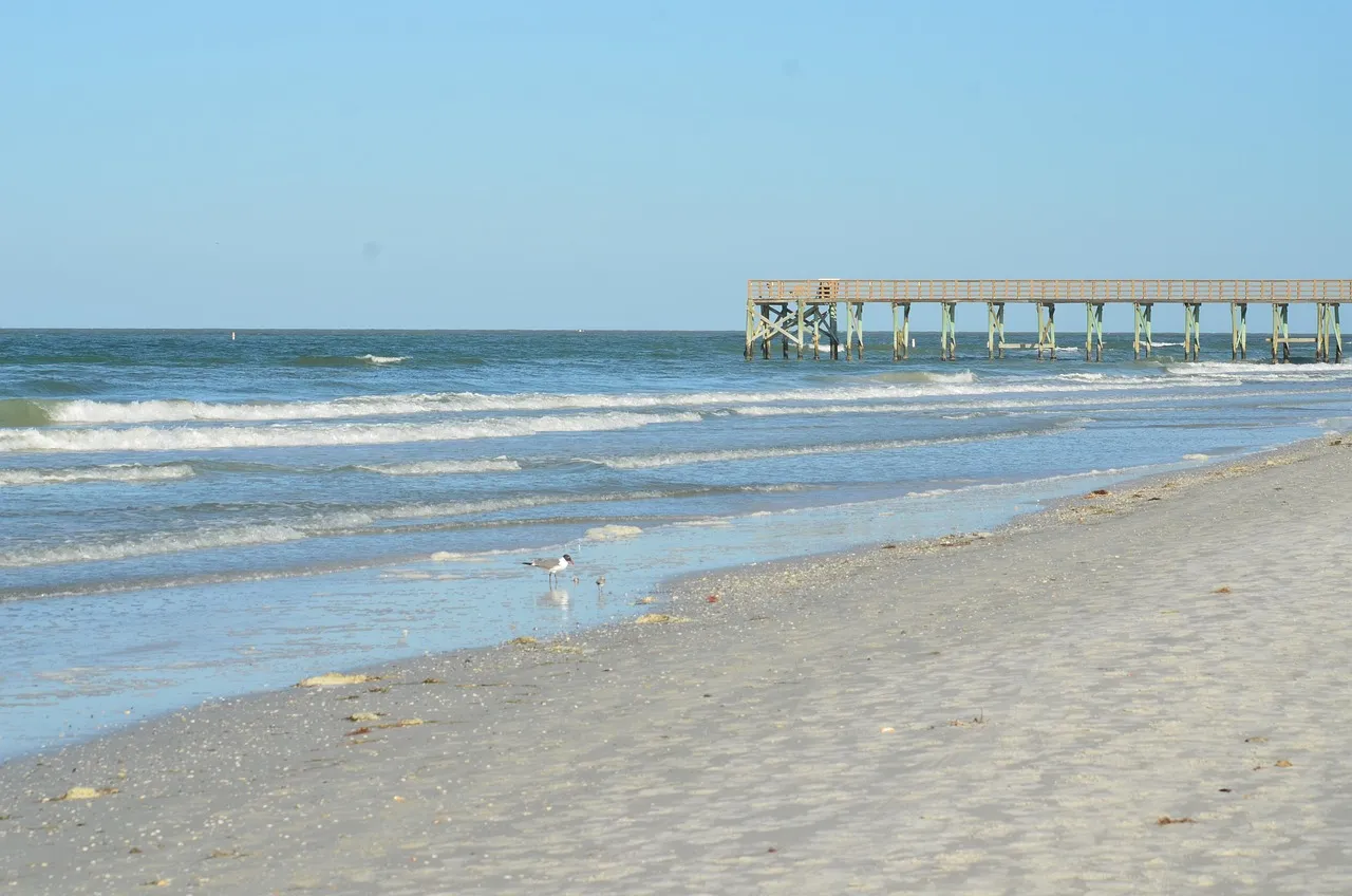 Redington Beach: One Square Mile of Deliberate Solitude (Image Credits: Pixabay)