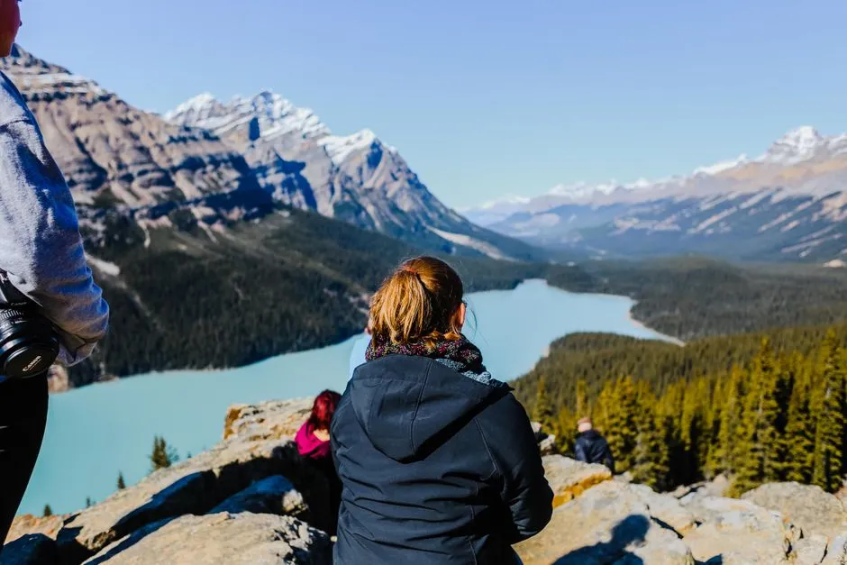 Peyto Is a Viewpoint, Not a Lakeshore (Image Credits: Pexels)