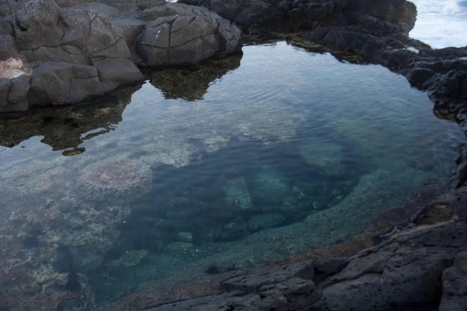 Leave No Trace Essentials: What Not to Take (TheTerraMarProject, Flickr, CC BY 2.0)