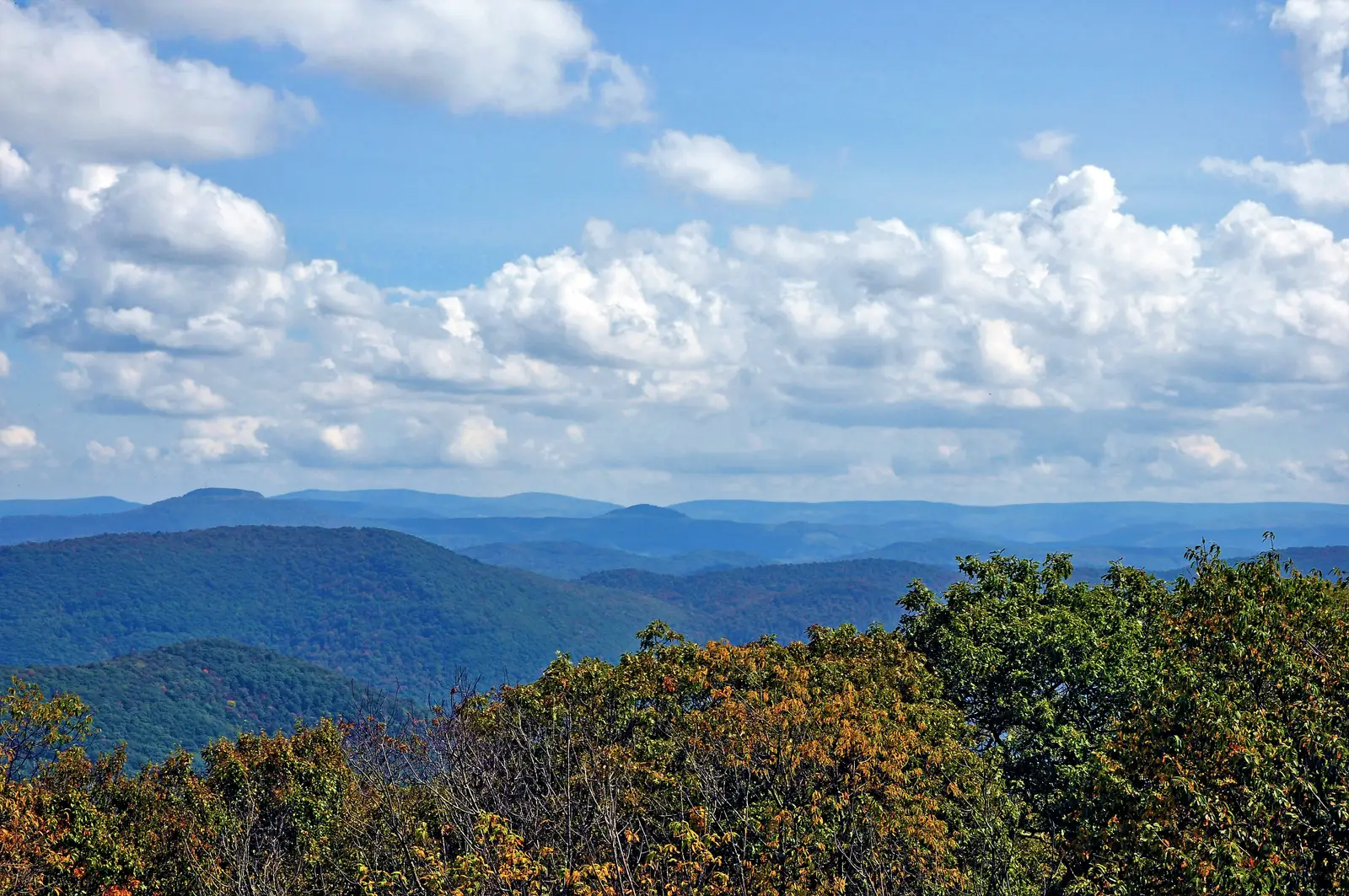 Bickle Knob Observation Tower, Monongahela National Forest, West Virginia (20170919-FS-Monongahela-JLH-016, Public domain)