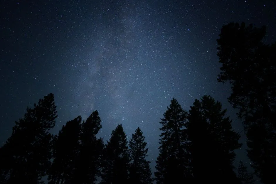What the IDA Dark Sky Designation Actually Means (Image Credits: Pexels)