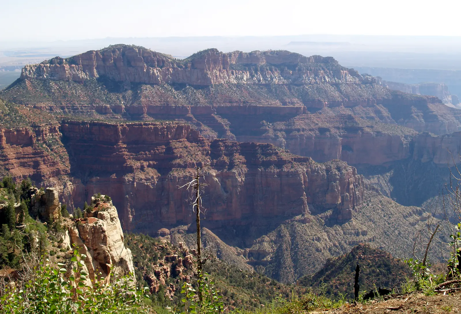 Overlook No. 1: Point Imperial on the North Rim (By Miguel Hermoso Cuesta, CC BY-SA 3.0)