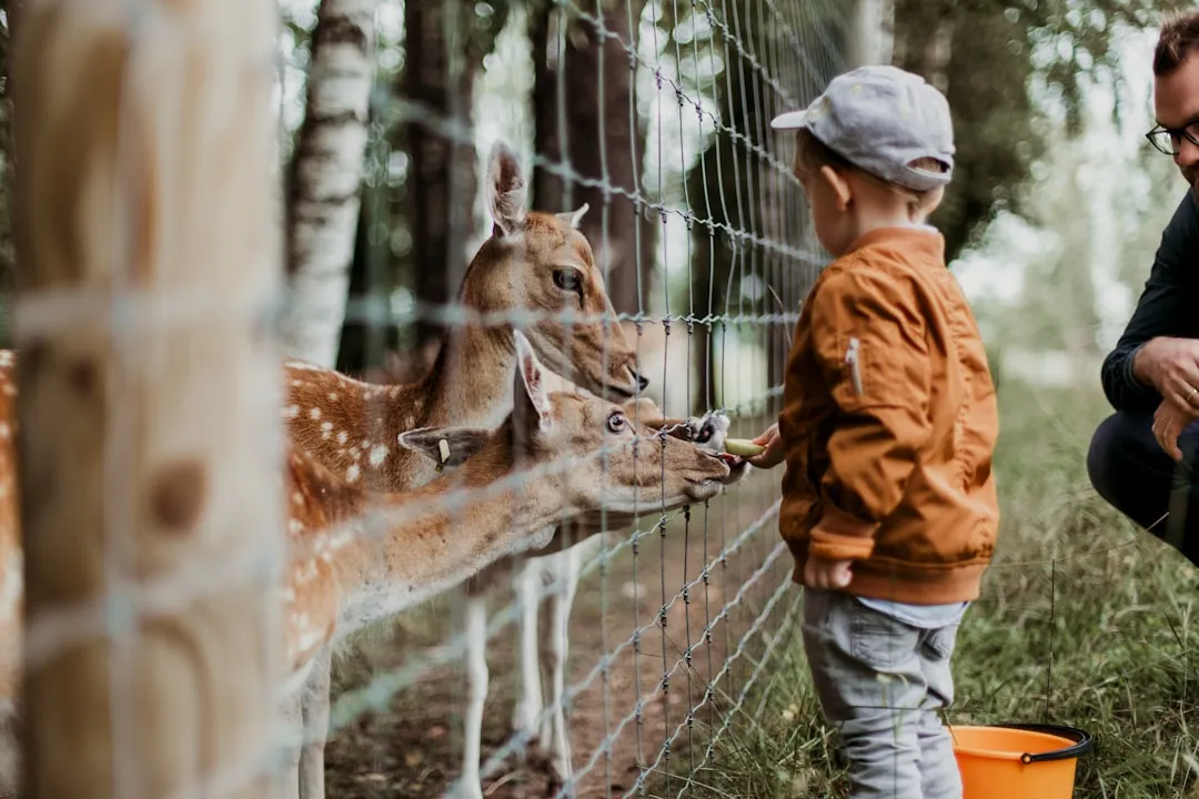 Feeding Time Changes Everything (Image Credits: Unsplash)