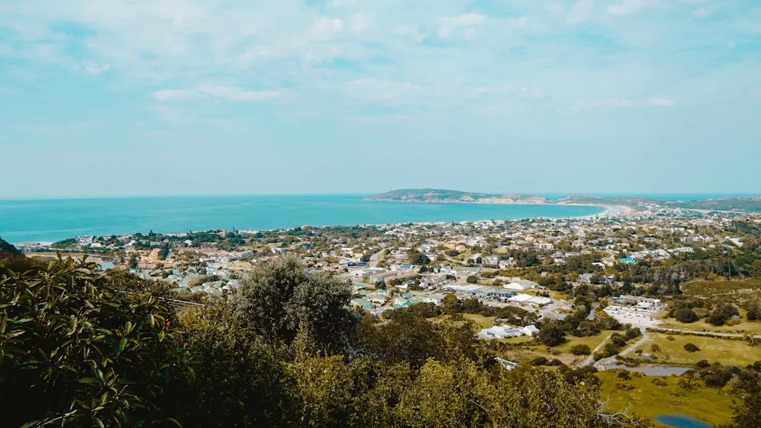 5. Tsala Treetop Lodge, Garden Route, South Africa: African Craft Meets Canopy Luxury (Image Credits: Unsplash)