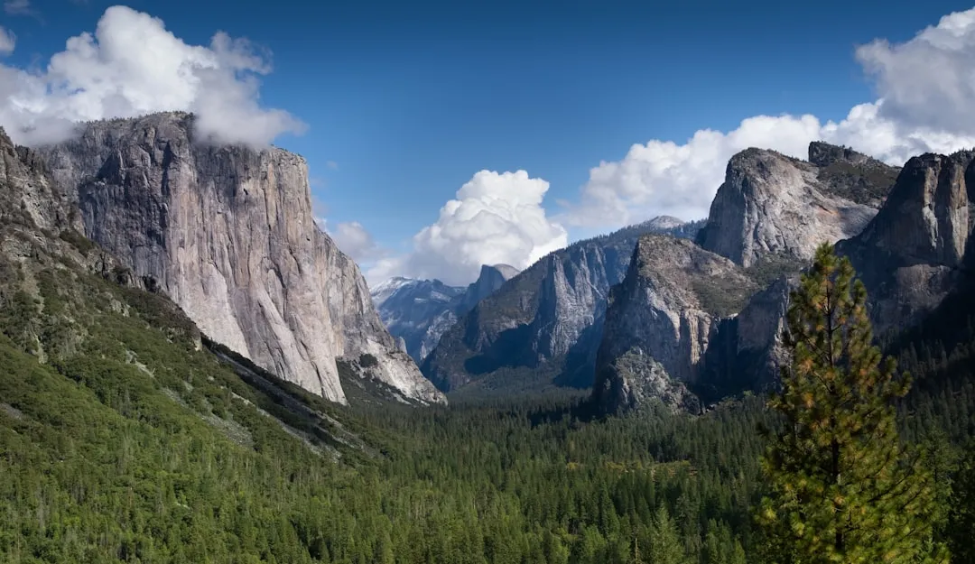 When Seasoned Hikers Go Missing Too (Image Credits: Unsplash)