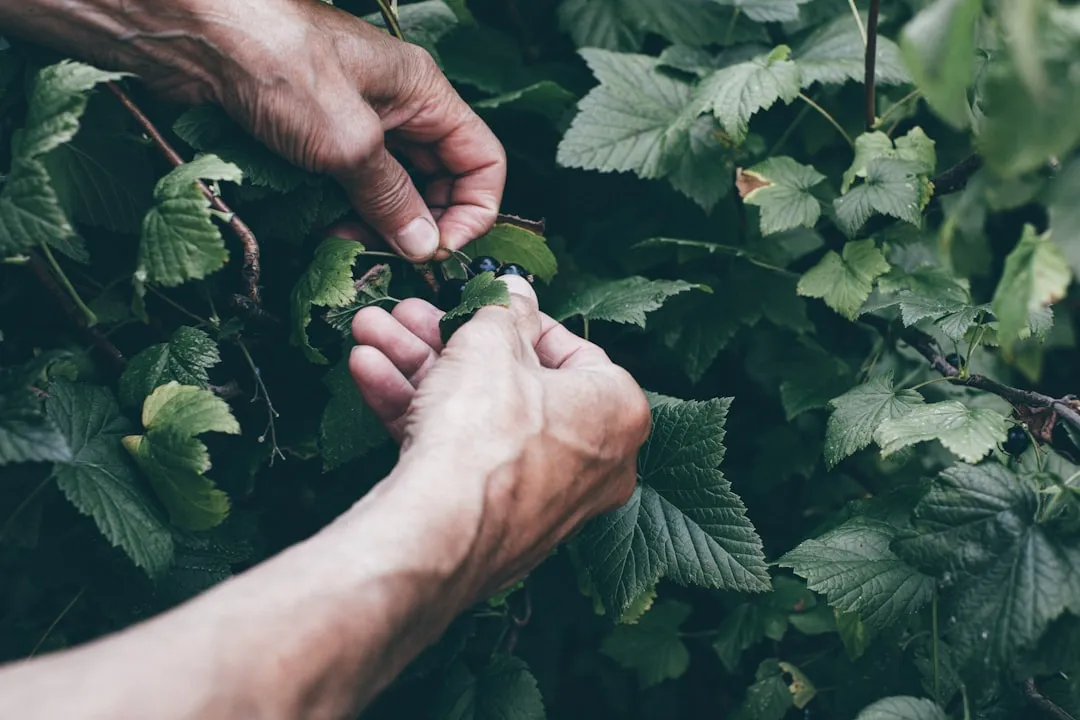 The Wellness Dimension No One Anticipated (Image Credits: Unsplash)